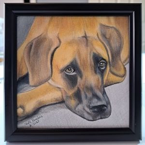 Colored Pencil Drawing Of a dog